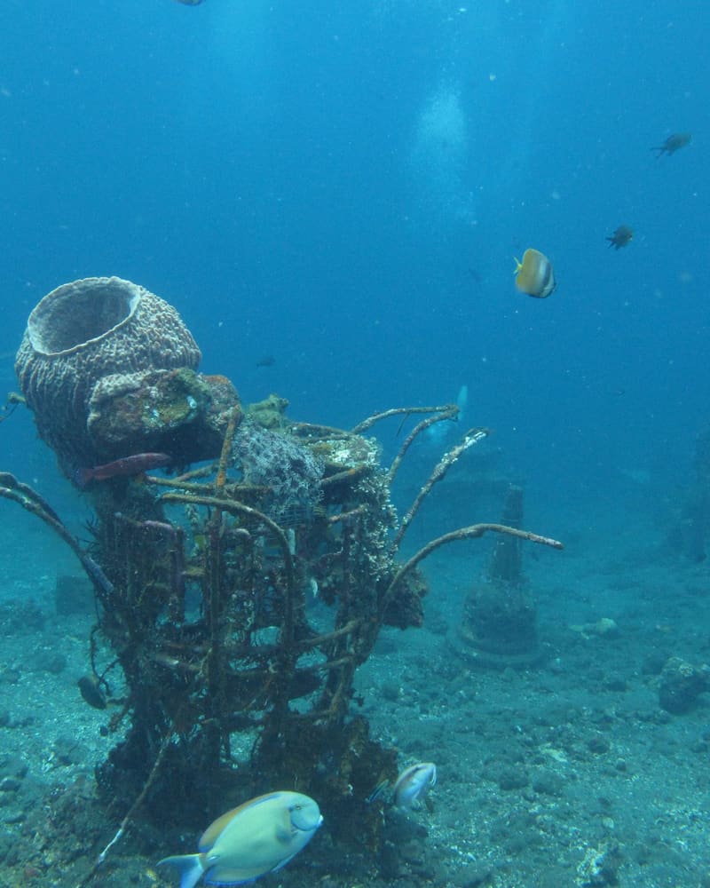 Coral-covered underwater sculpture with tropical fish in clear blue water at Tulamben, Bali